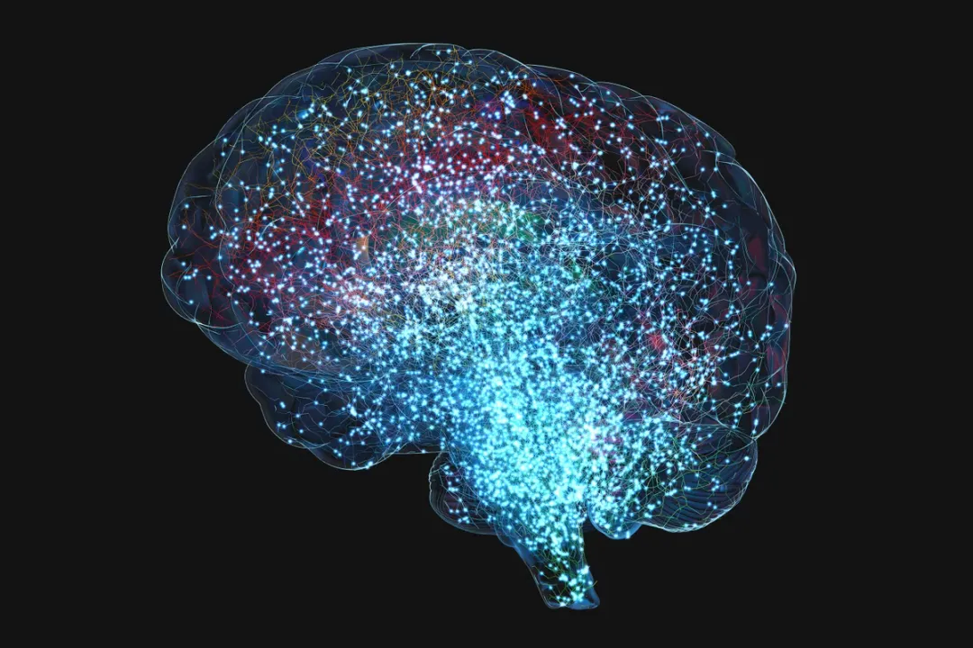  Photograph: (Scientific American) 