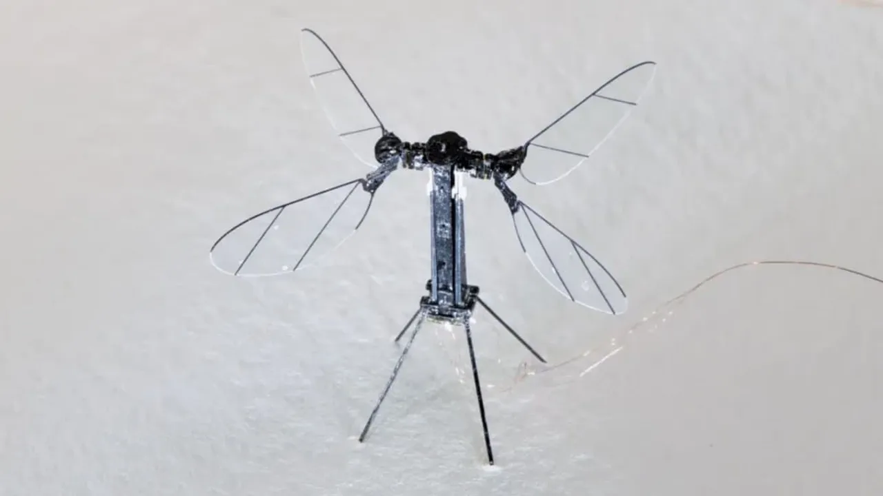  mosquito Photograph: (Interesting Engineering) 