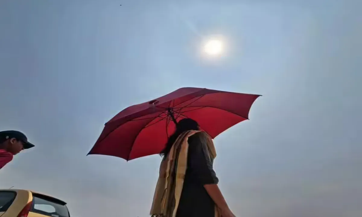  Photograph: (TOI) 