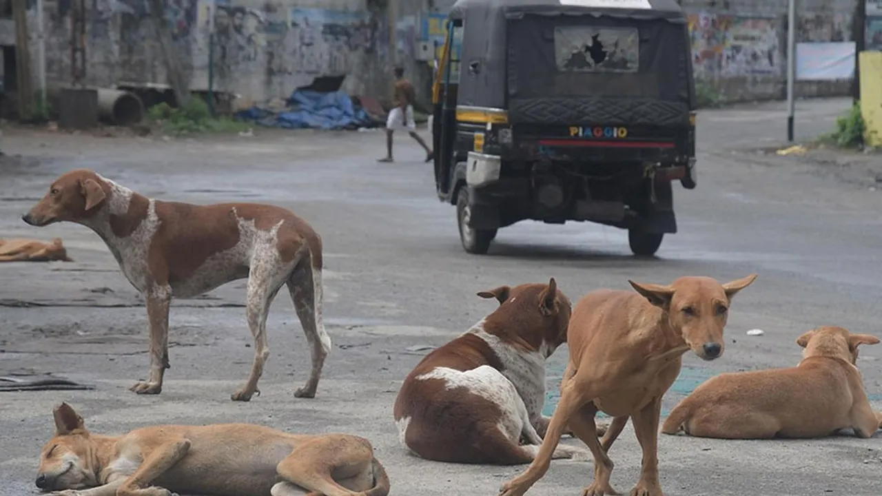  Photograph: (The Hindu) 
