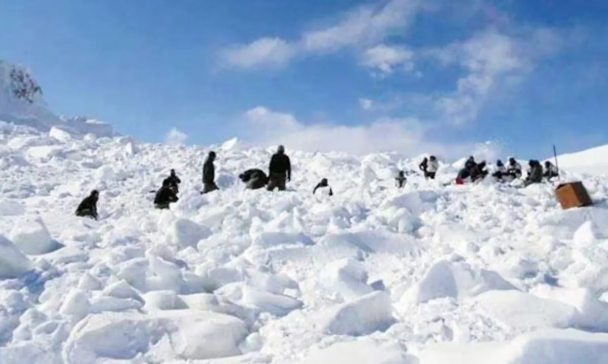  Photograph: (India Today) 