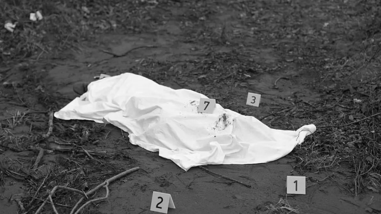  Photograph: (iStock) 