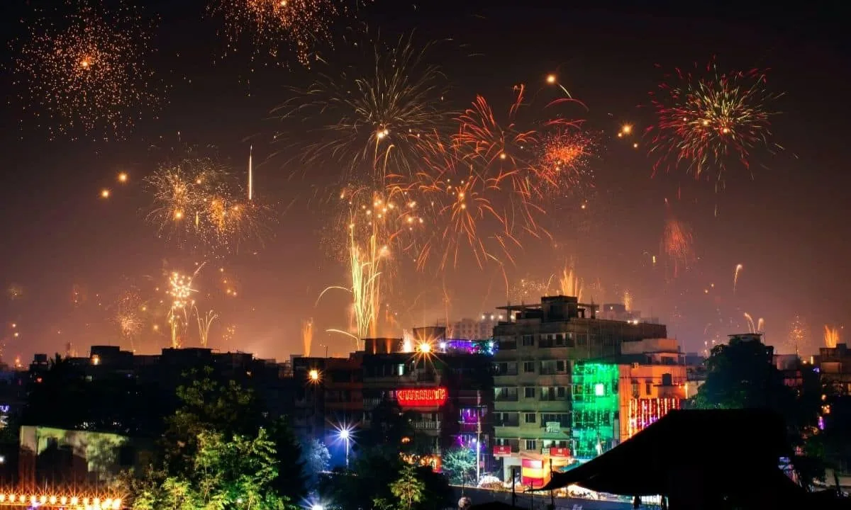  Photograph: (Suzanne wanders Delhi) 