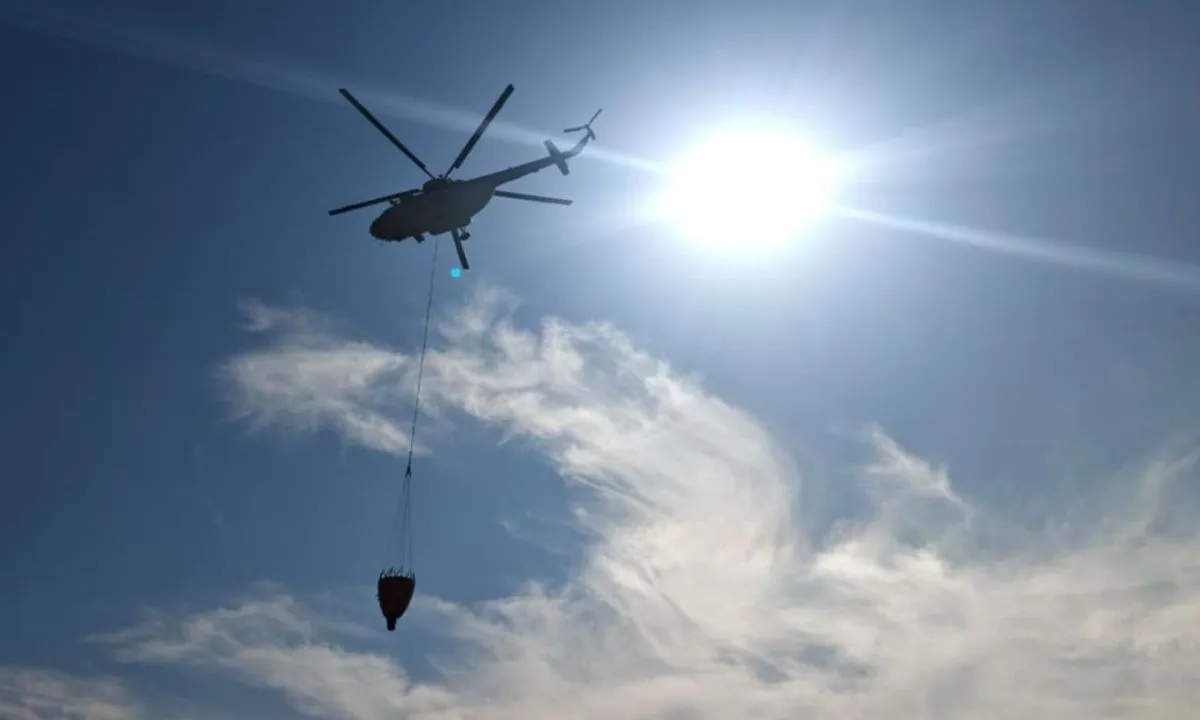  Photograph: (News Arena) 