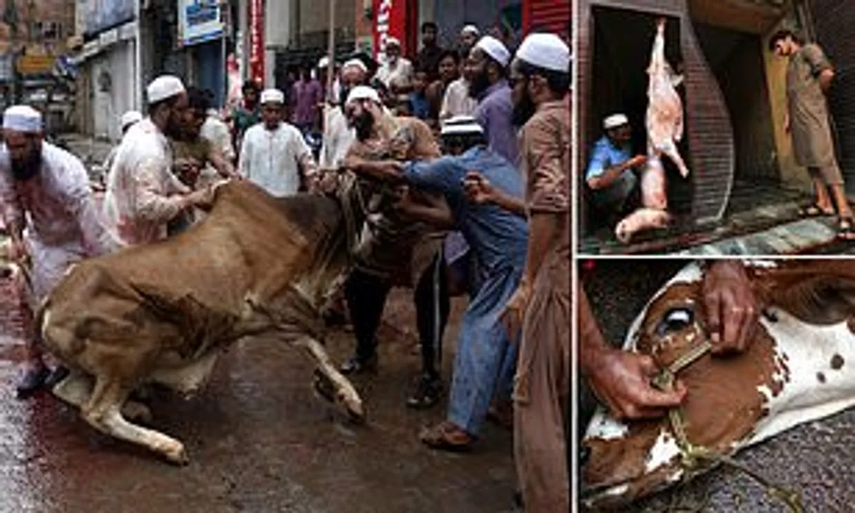  Communal tension, protests after Cow slaughtered in Malerkotla, Punjab to intimidate Hindu Sentiments