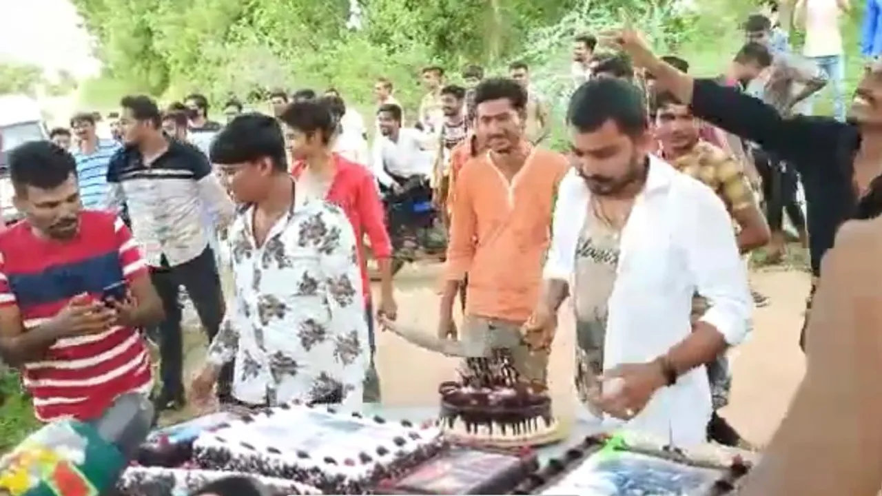  WATCH | BJP Leader throws Beer Party in 'Dry state' Gujarat, amid Covid-19 crisis