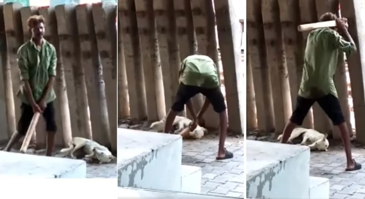  Alcoholic man ruthlessly beat stray dos to death, but nobody intervenes. Is this the humanity we need?