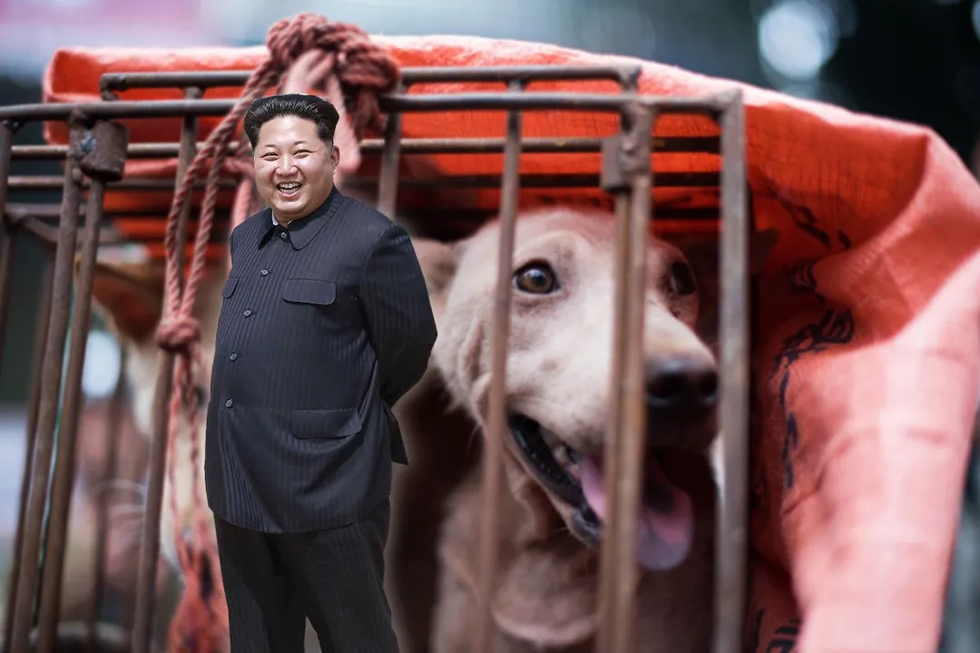  'Kill every dog': Kim Jon Un has ordered confiscation of all pet dogs in North Korea due to 'food' shortage amid Pandemic