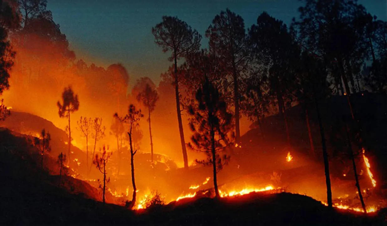  Uttarakhand under emergency due to forest fires: 1,240 Hectares of land already lost this year