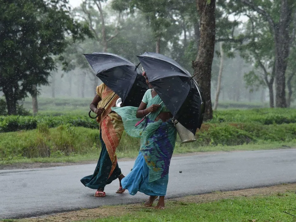  Monsoon is going to be good/normal this year in India