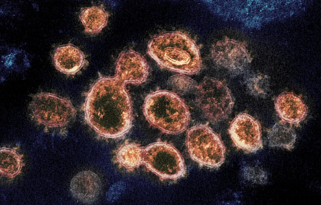  15 times more lethal variant of Wuhan’s Coronavirus found in parts of Southern India