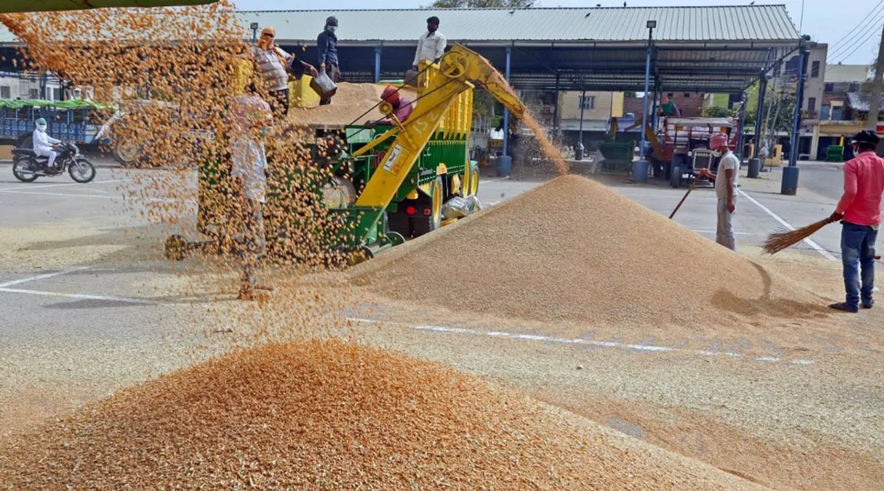  Punjab Wheat Procurement hits new Records with Direct Payment switchover, 9 lakh farmers receive Rs. 23,000 crore