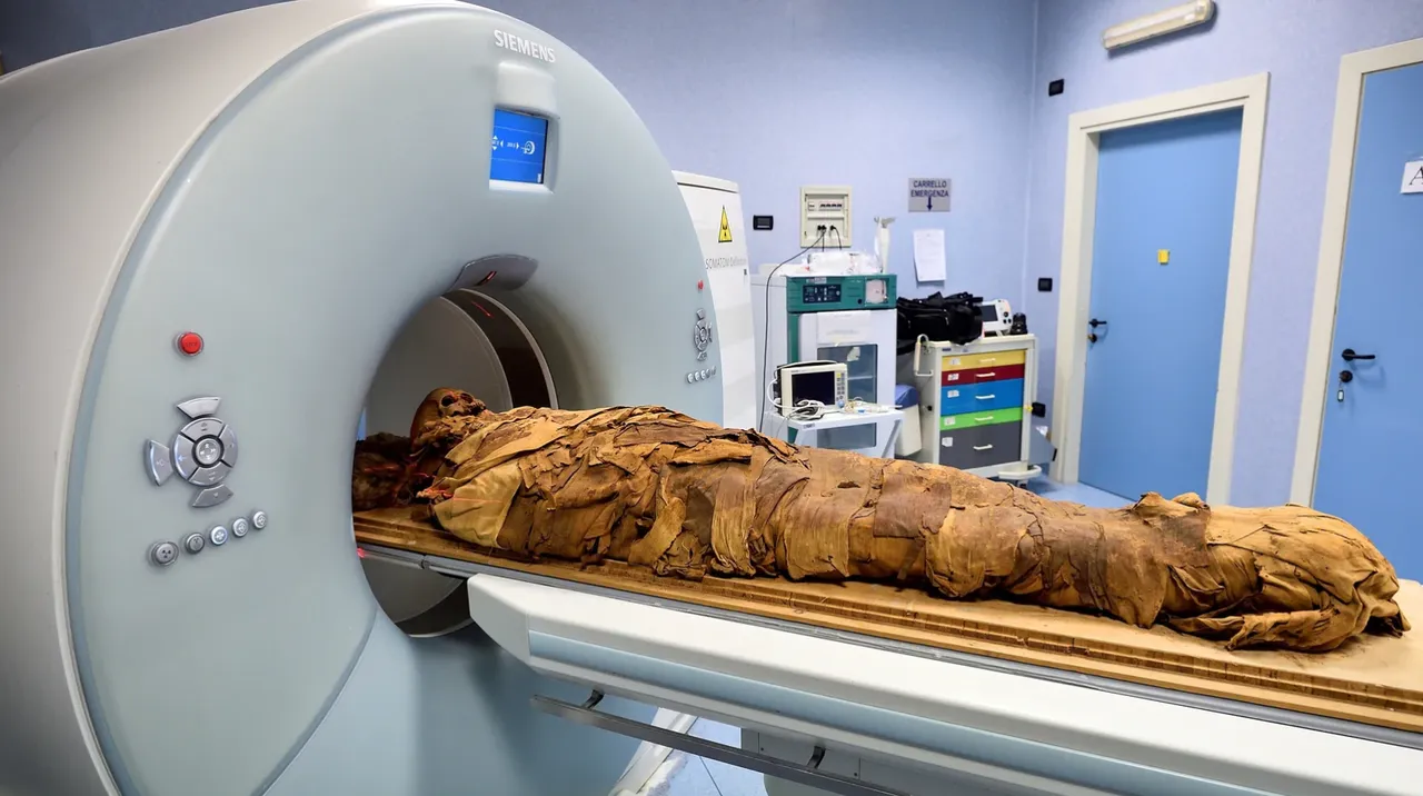  Hospital in Italy runs CT scan on Egyptian mummy to unveil 'secrets'
