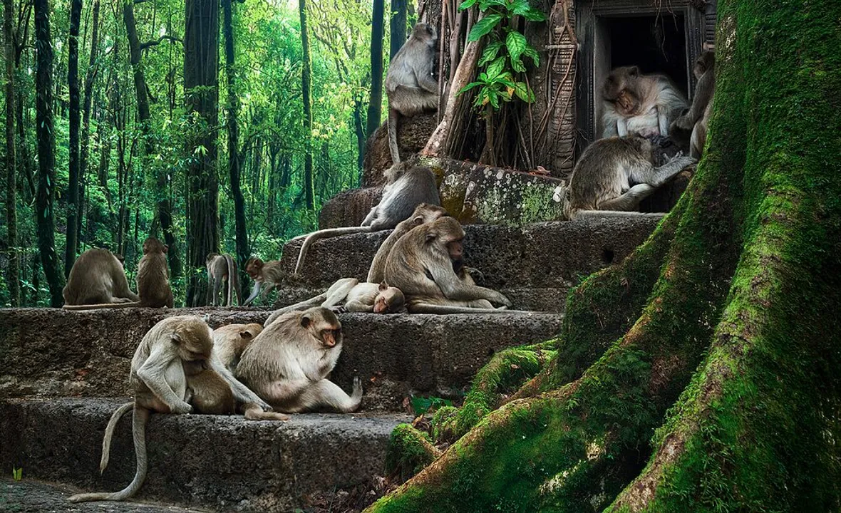  India adds 557 new species to its fauna, now world's 8th highest 'mega-biodiverse' country