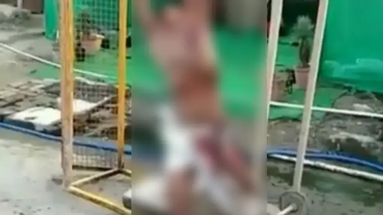  Man lynched to death by Nihang Sikhs, limbs cut off and corpse put on display at farmers' protest site