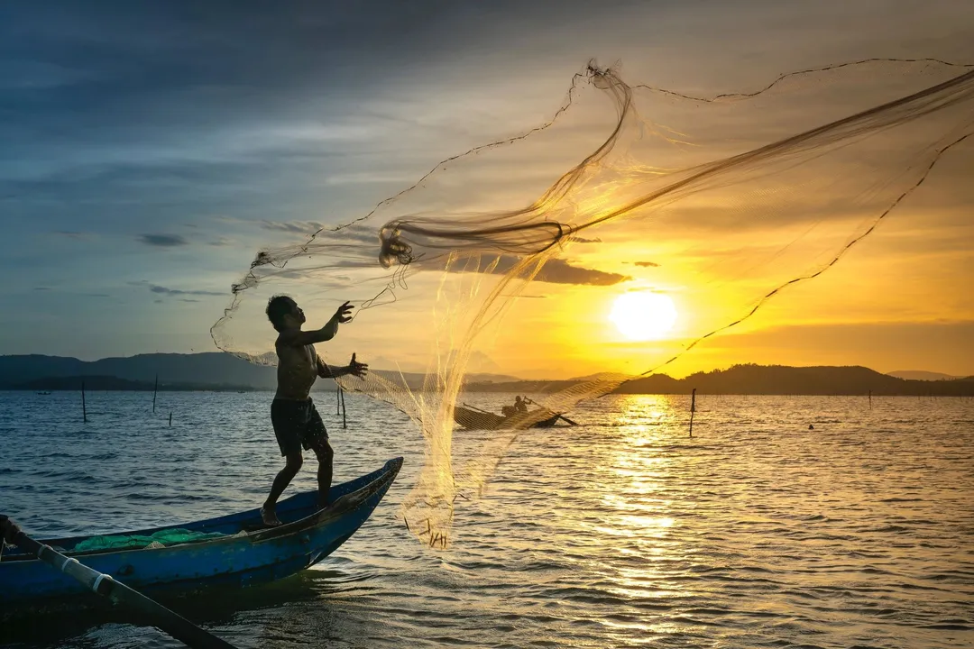  Andhra Pradesh Police files case against fish after fisherman dies while fishing in Visakhapatnam