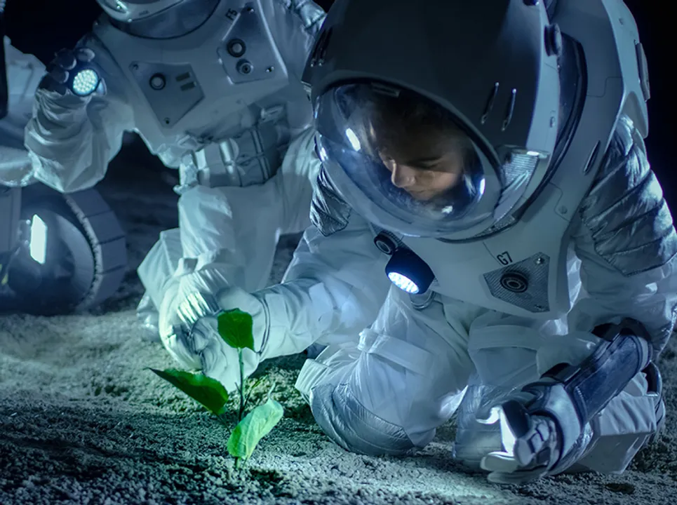  Scientists grow plants in lunar soil brought by Neil Armstrong for the first time