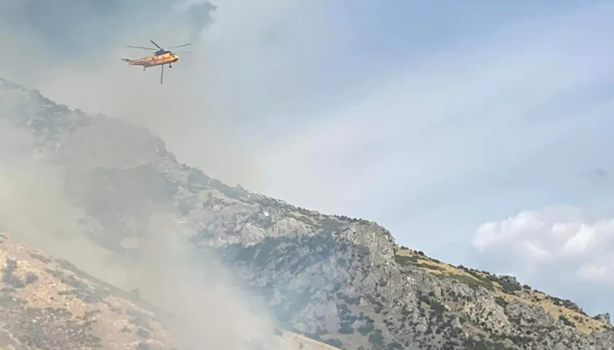  Man high on Marijuana tries to kill spider using lighter, starts wildfire instead