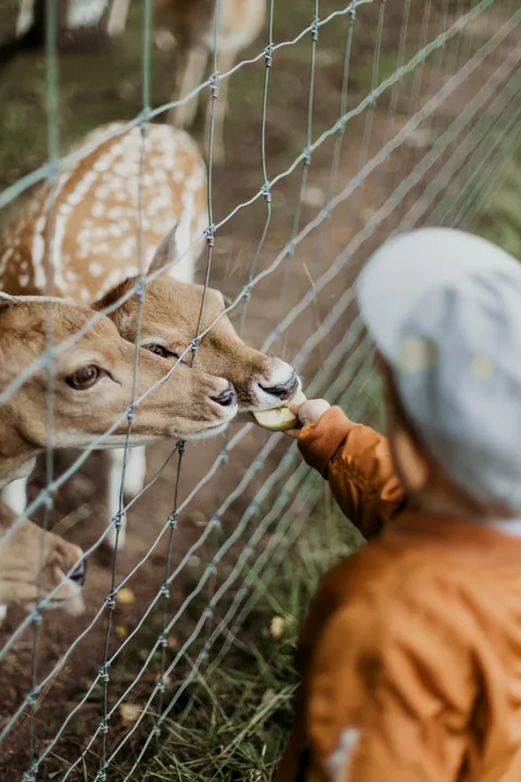  Cannot keep your favourite animal at home? Delhi zoo will soon let you adopt one.