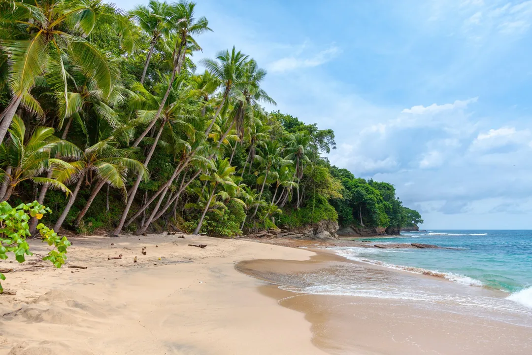 Two new Indian beaches receive ‘Blue flag’ label, taking country’s tally to 12