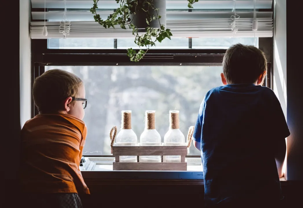  First-born children tend to have higher IQs than their younger siblings: Research on mental stimulation