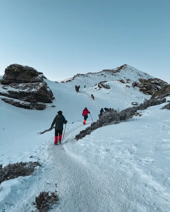  Seven tourists dead, dozens injured after avalanche at NathuLa Pass in Sikkim