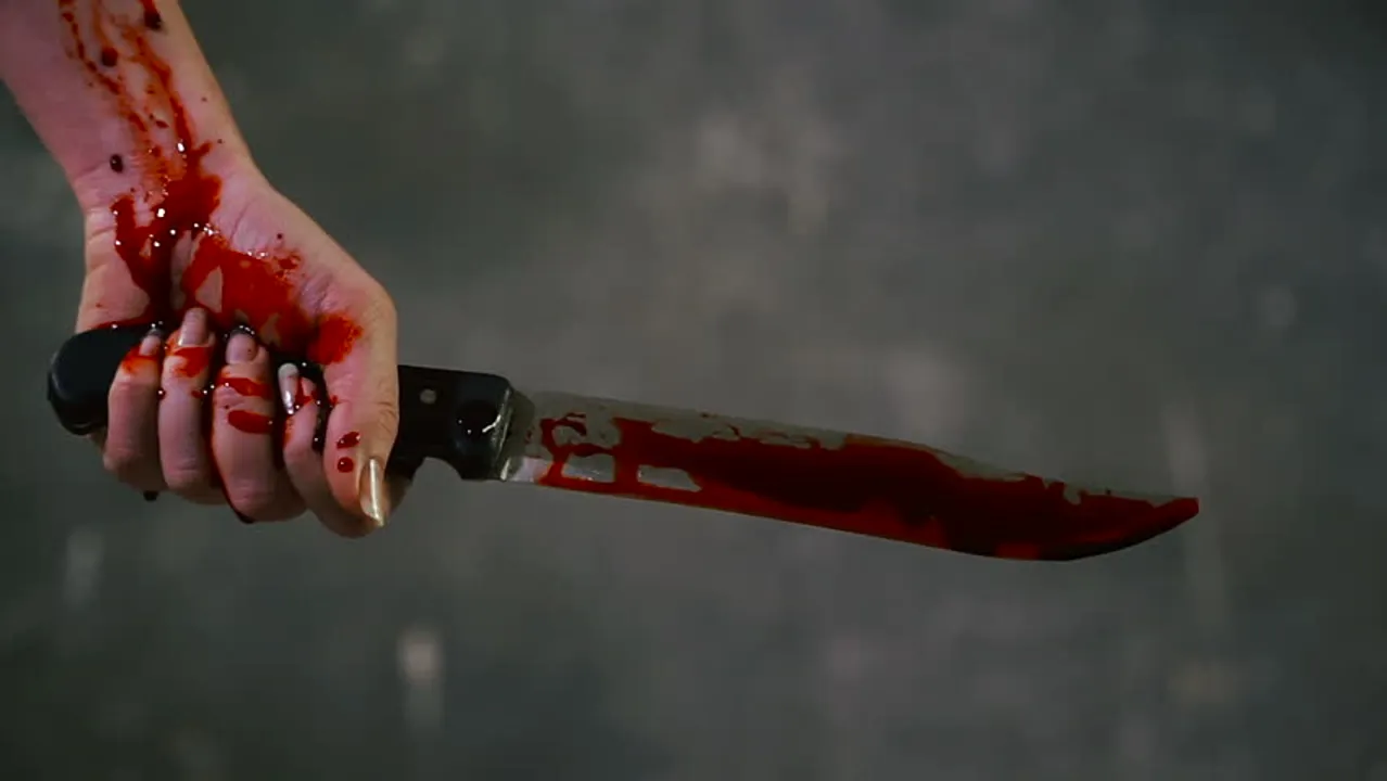  Mumbai man kills live-in partner, chops body with tree cutter and boils them in a cooker