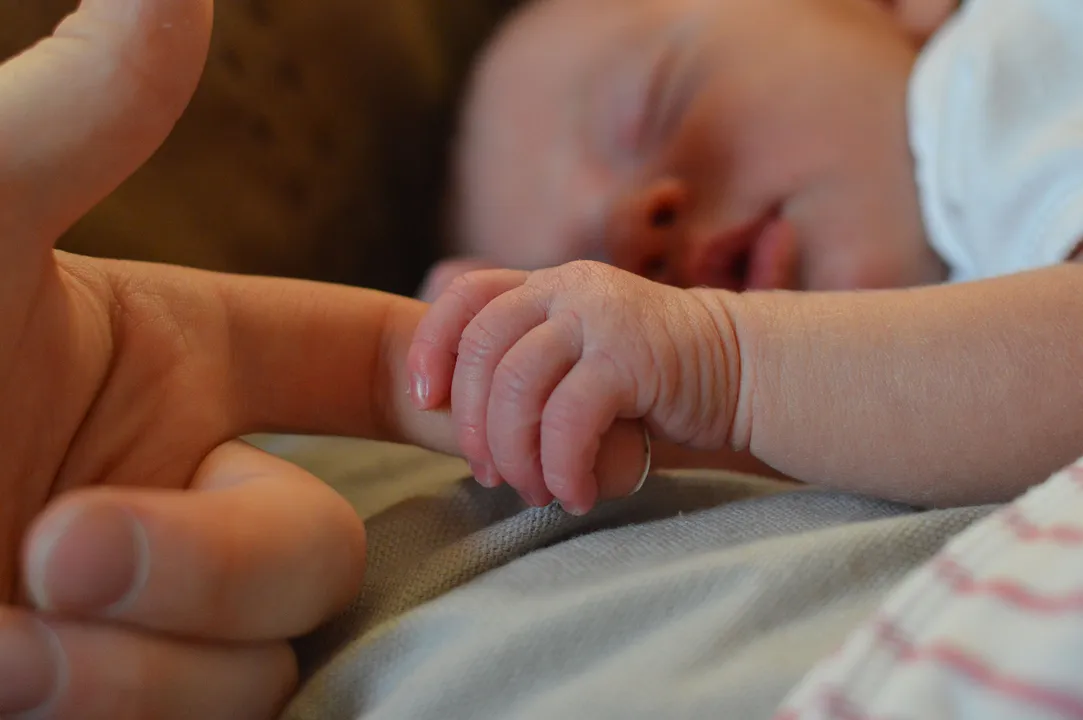  Baby without sperm and egg in future? Scientists create ‘synthetic’ human embryos