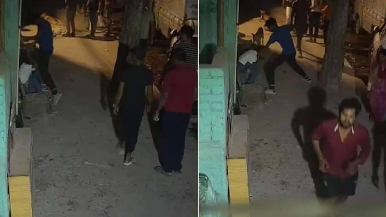 Delhi man stabs teenage girlfriend to death on busy street: Shocking visuals