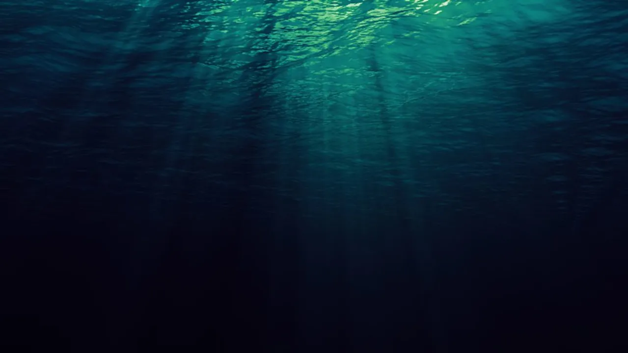  Indian geologists unravel mystery of enormous ‘gravity hole’ in Indian Ocean 