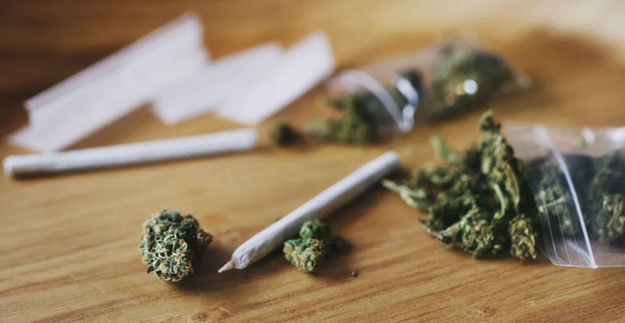  India’s first cannabis medicine project in Jammu is set to revolutionise medicinal use