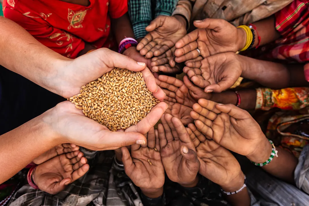  UN says the world is "off track" to meet 2030's zero hunger goal