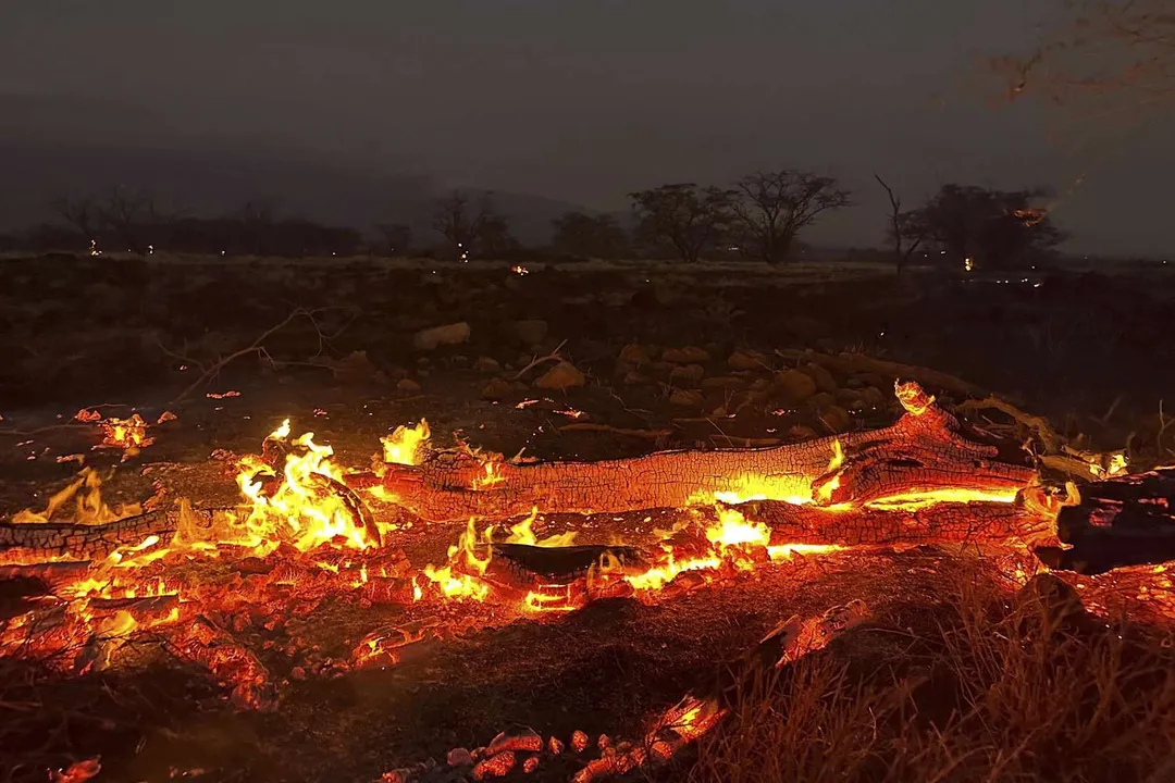  Wildfires in Hawaii, leave at least 55 dead, and thousands homeless