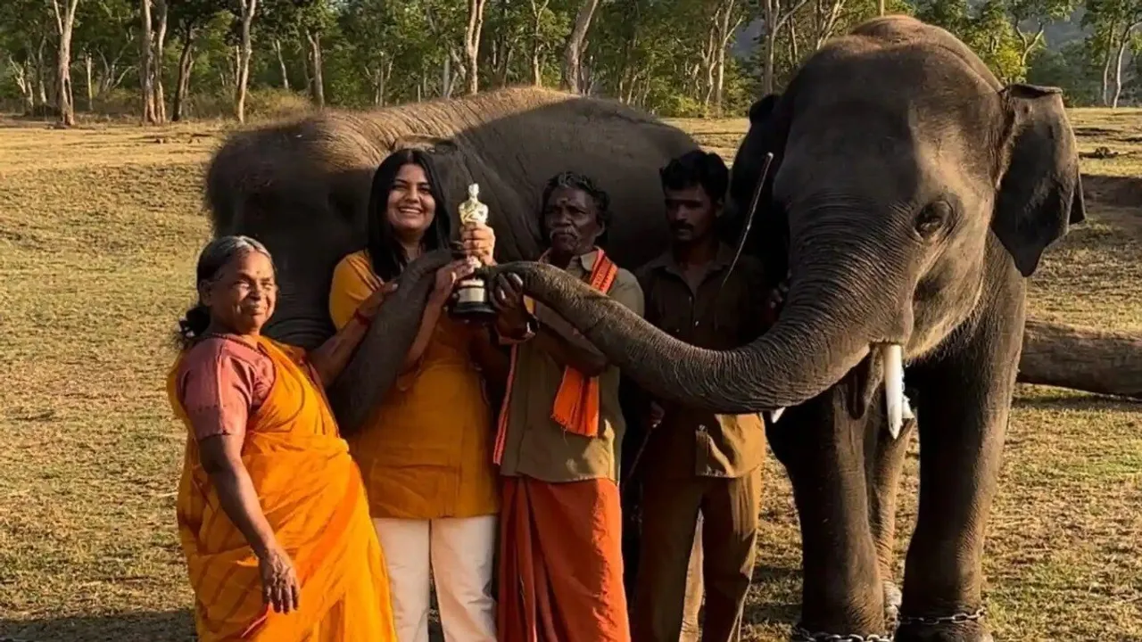  ‘The Elephant Whisperer’ couple allege exploitation, later backtracks statement