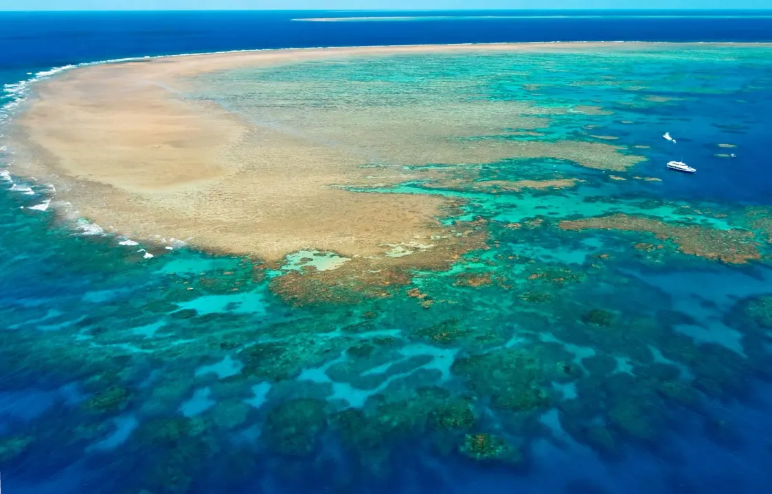  Relief for Great Barrier Reef as it stays off the UNESCO danger list