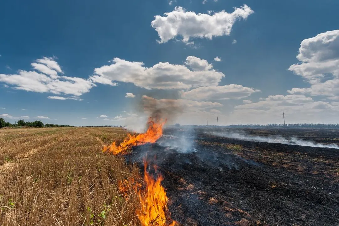  Delhi to say goodbye to good air days as Punjab commences stubble burning