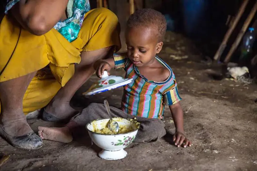  700 million people do not know when will they eat next: UN food chief