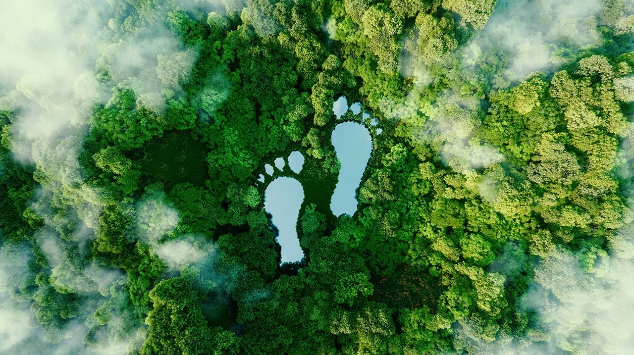  India among the top five economies racing to achieve net zero emissions
