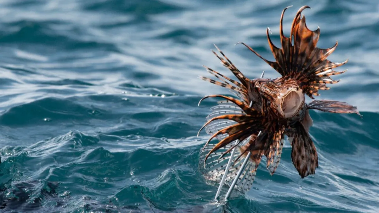  According to a UN report, more than 37,000 alien species cost $400 billion per year in damages