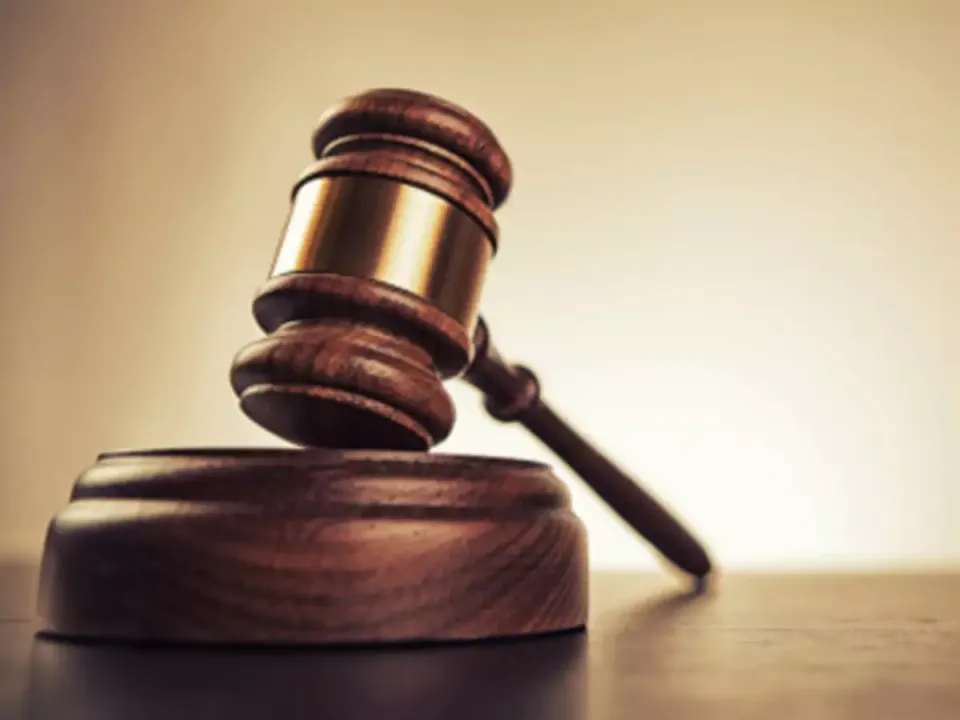  Parents cannot interfere in children’s right to choose partners and live in relationship, says Allahabad High Court