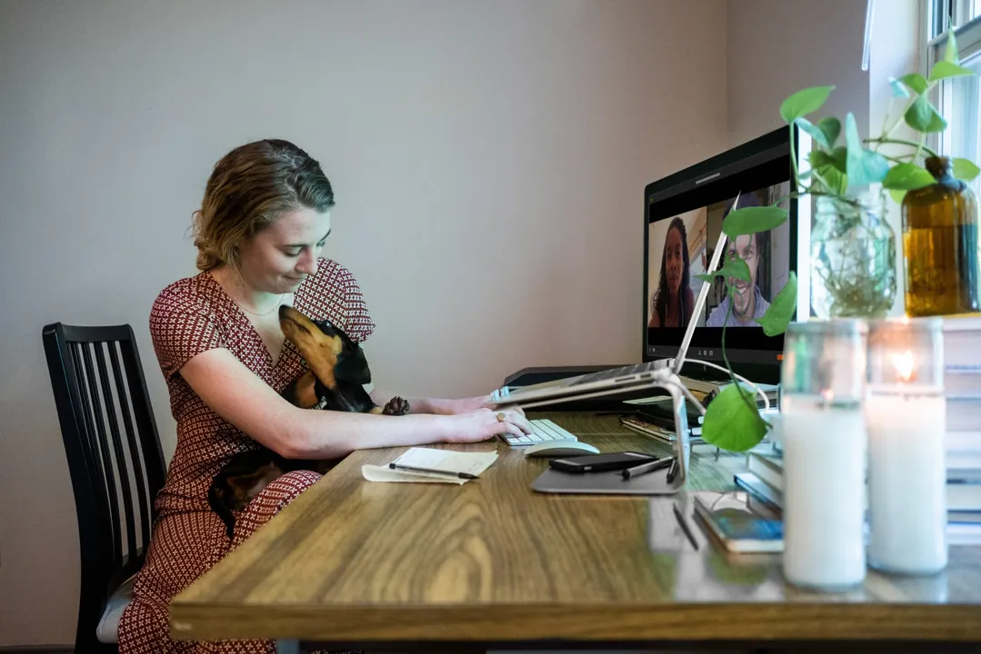  WFH is environment friendly: Study