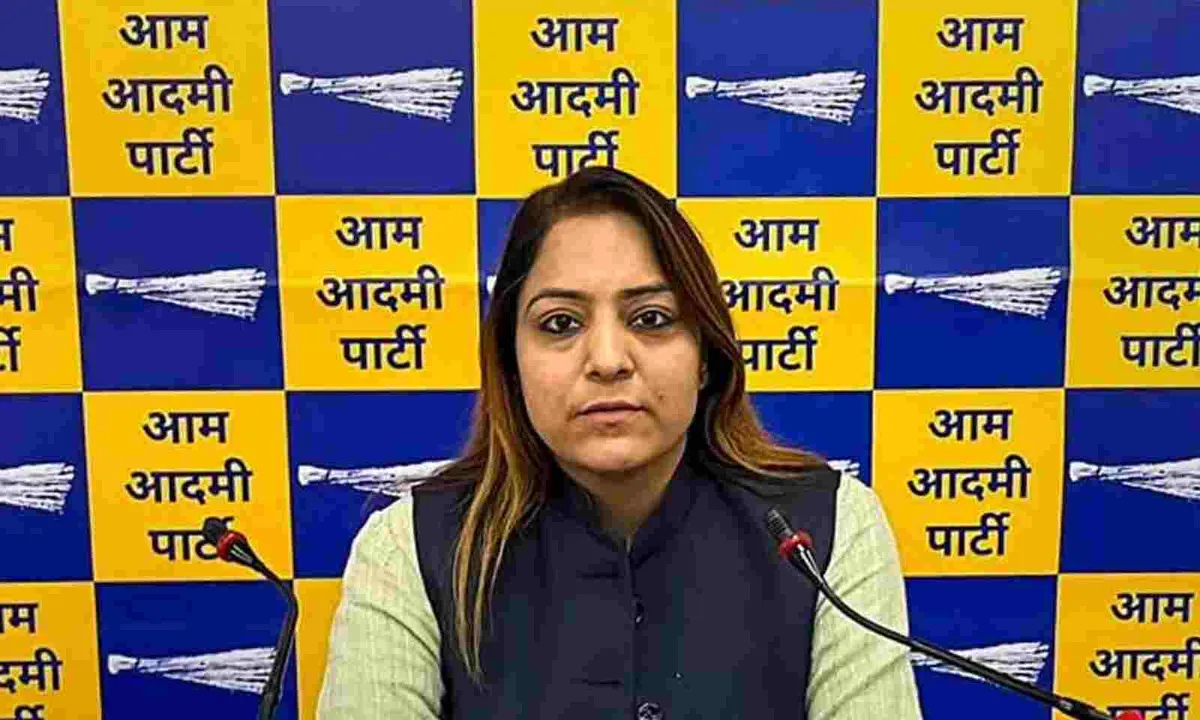  Delhi seeks sister city agreement with Brisbane: Mayor