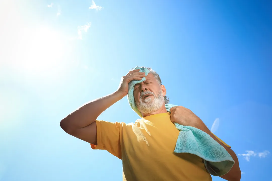  220 crore people in India, Pak at risk of deadly heat due to climate change: Report