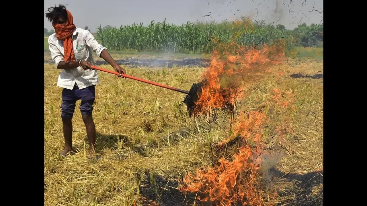  Punjab's stubble burning woes intensify amidst farmer doubts on machine availability