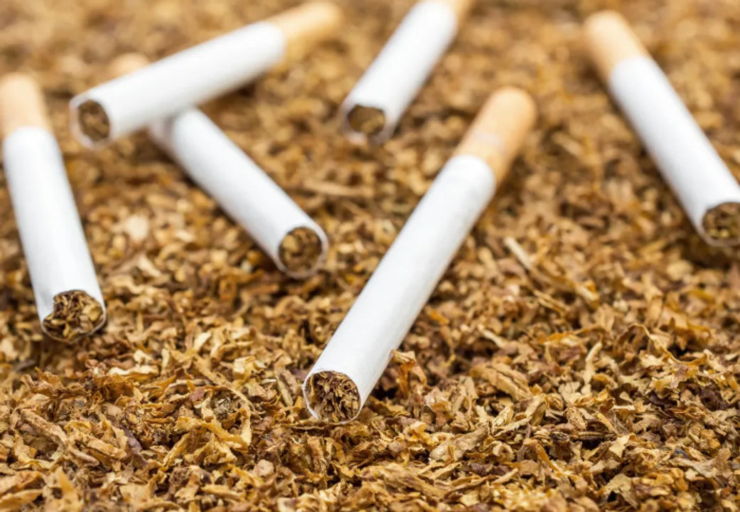  Government urged to increase tobacco taxes to curb health crisis