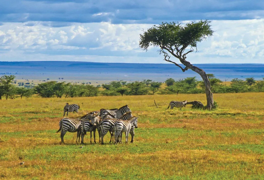  Kenya opens its doors for visa-free travel from January 2024