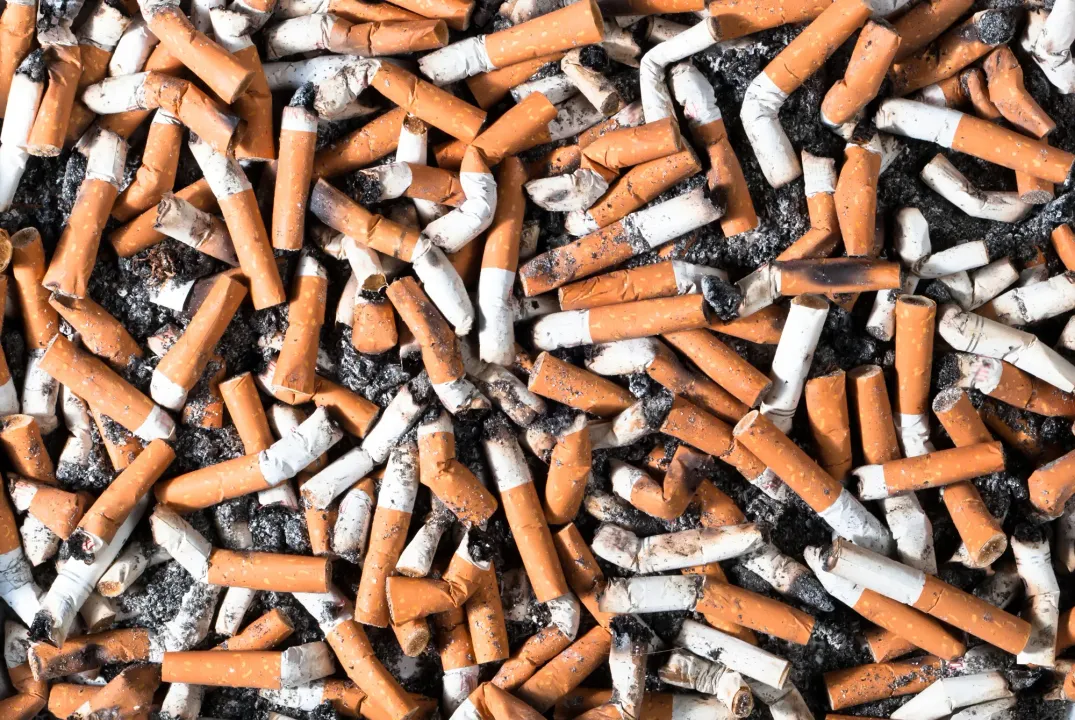  Cigarette butts offer cost-efficient solution for biodiesel production