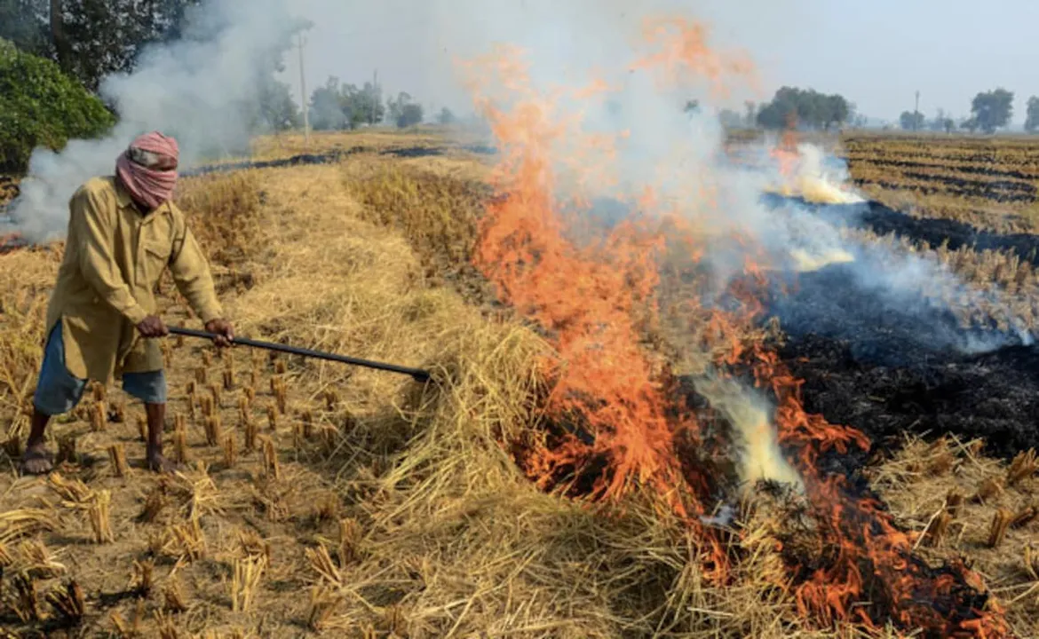  Punjab witnesses 27% drop in farm fires and Haryana records 37% reduction compared to previous year