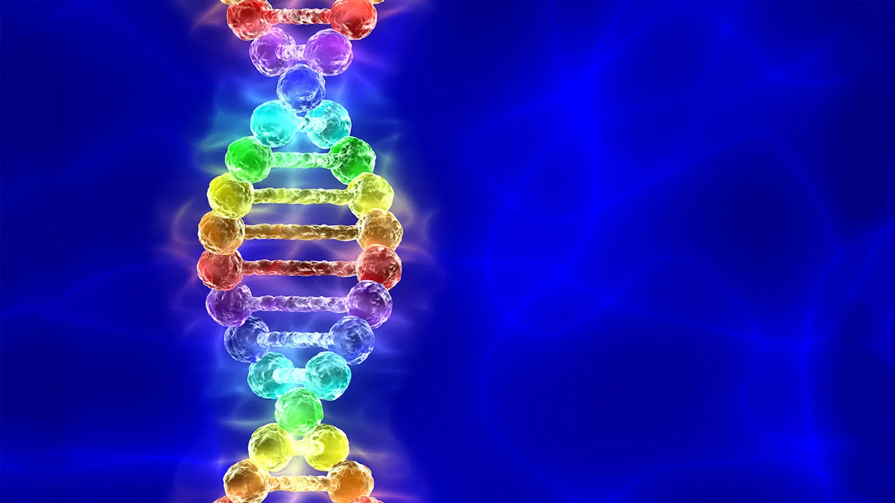  New study unveils scientific and genetic insights into fertility and same-sex attraction