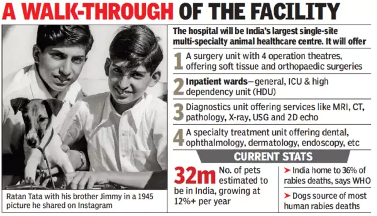  Ratan Tata finally completes his 'pet' project, to open an animal hospital in Mumbai